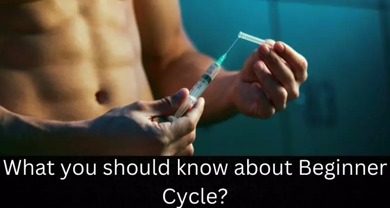 you_should_know_about_Beginner_Cycle